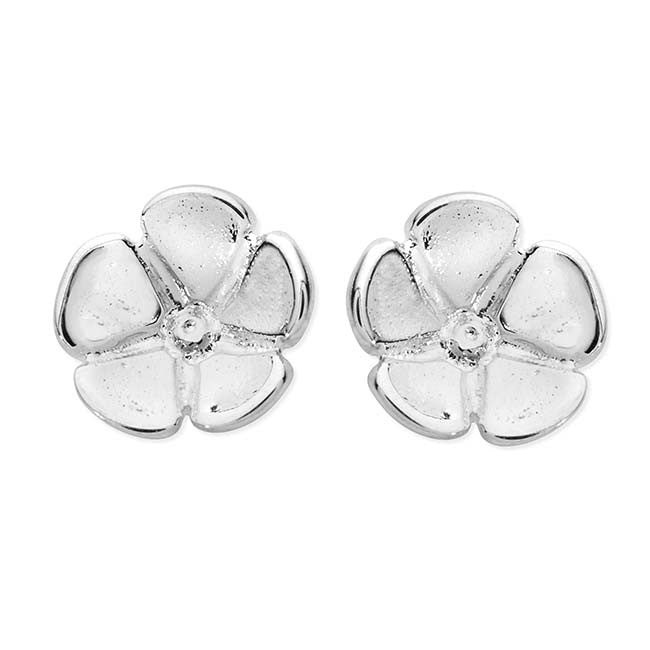 Forget-Me-Not Stud Earrings 14133 - Aurora Orkney Jewellery