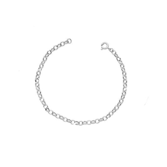Charm Bracelet (Chain Only)