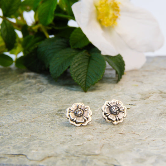 Outlander Rose Coin Collection stud earrings on a slate background with rose, made by Aurora Jewellery, Orkney, Scotland