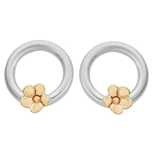 Forget-Me-Not Circle Earrings - Aurora Orkney Jewellery